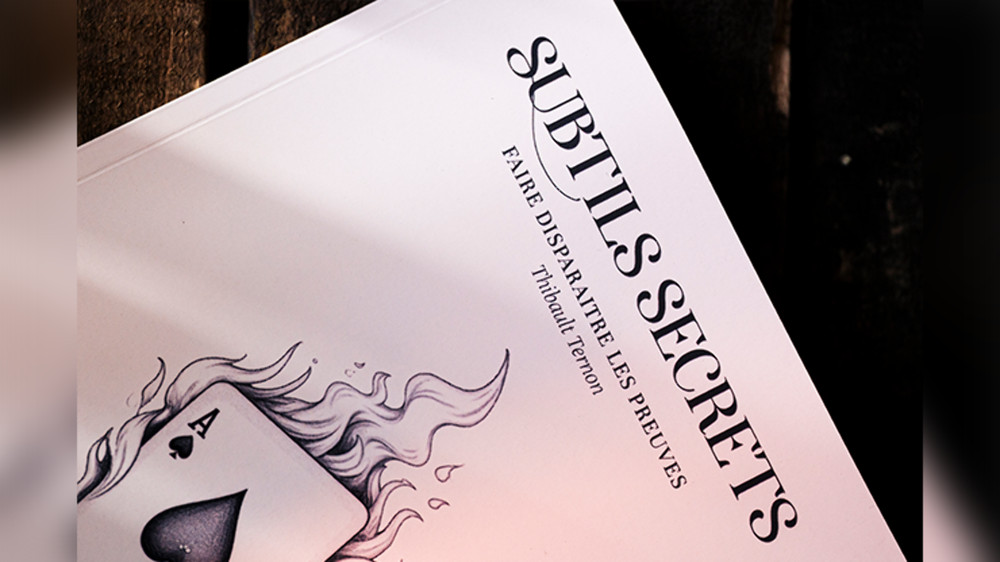 Subtle Secrets 1 by Thibault Ternon