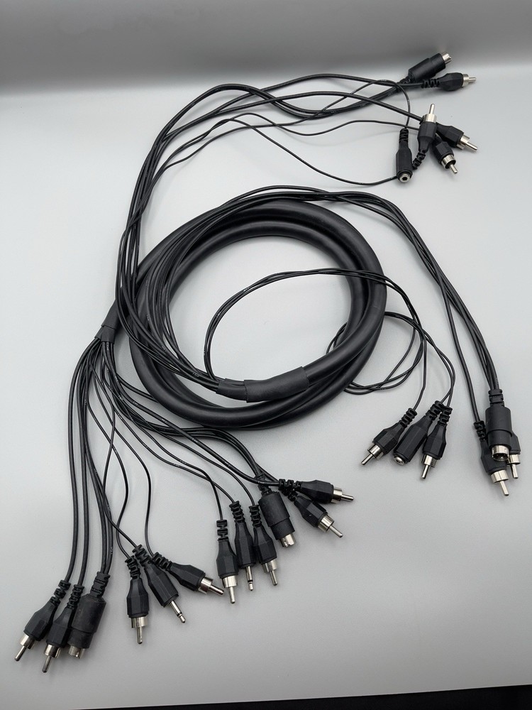 Multi-Purpose Audio-Video-Control extension Whip/Interconnect