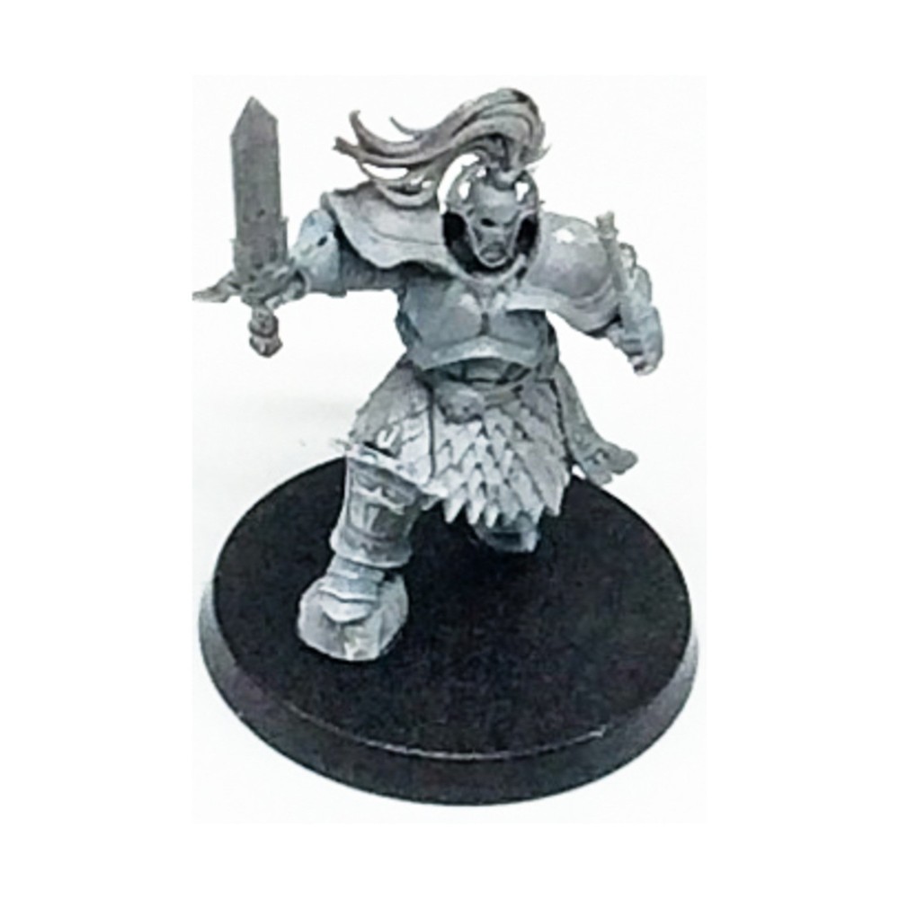 Knight-Heraldor #4 NM