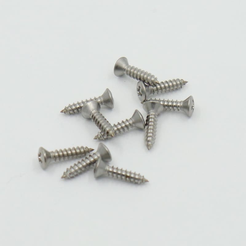 Pickguard Screw Set (12pc) S/S