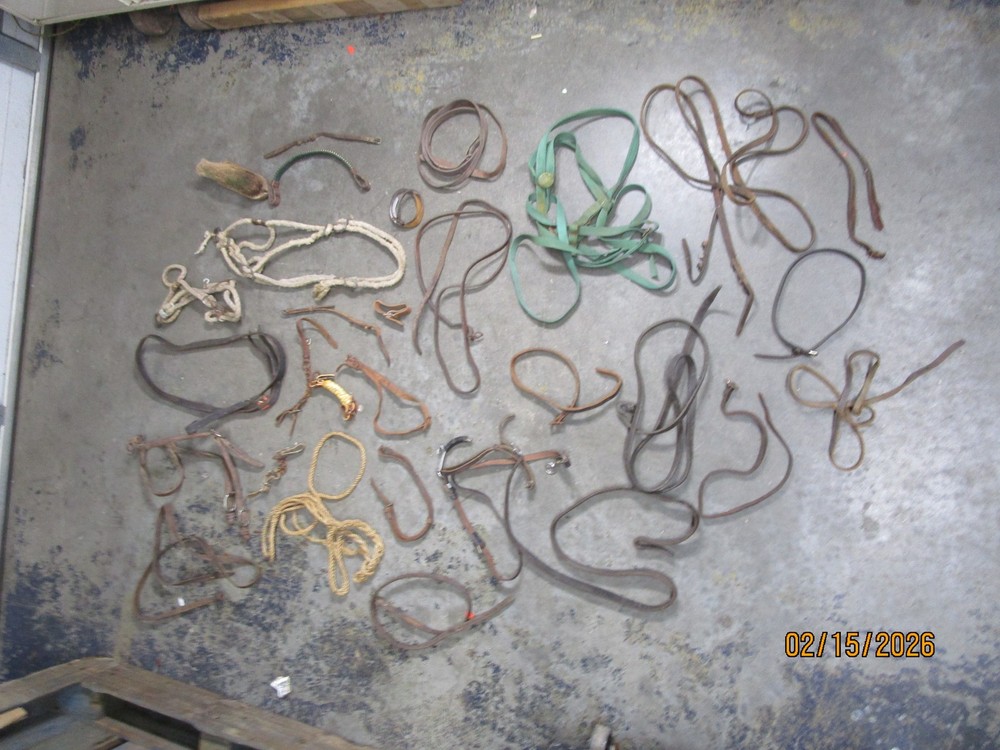 Leather Horse Tack Lot