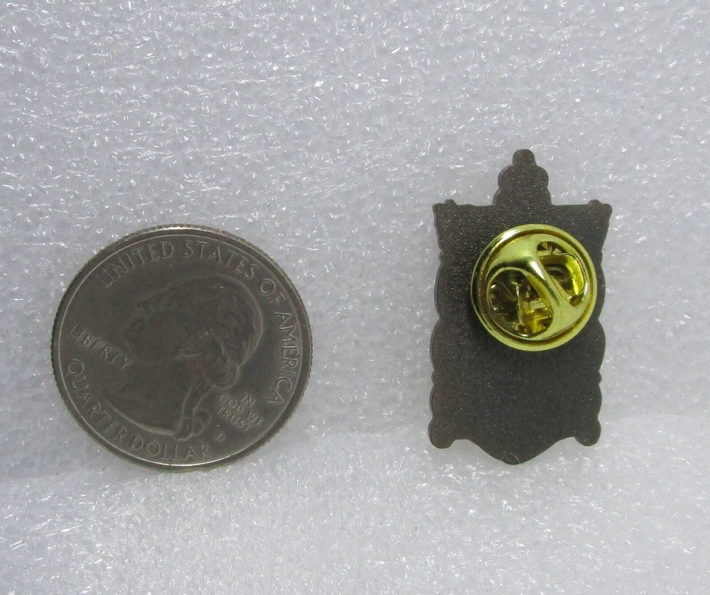 2013-14 Face In The Mirror Pin