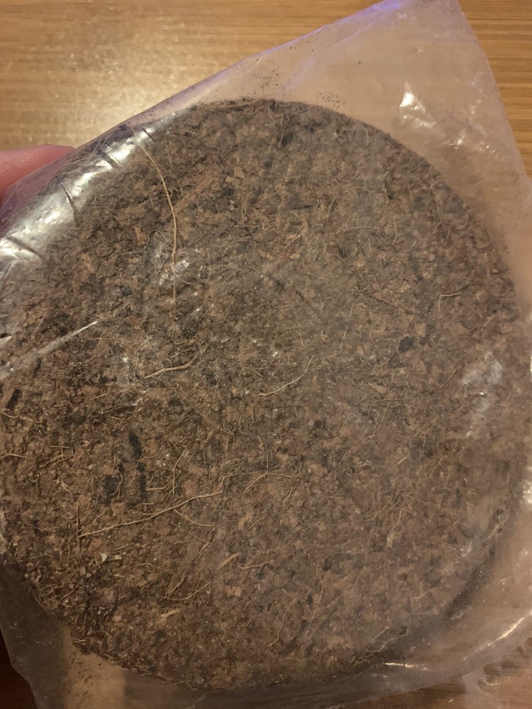 Cocopeat Disk 110g