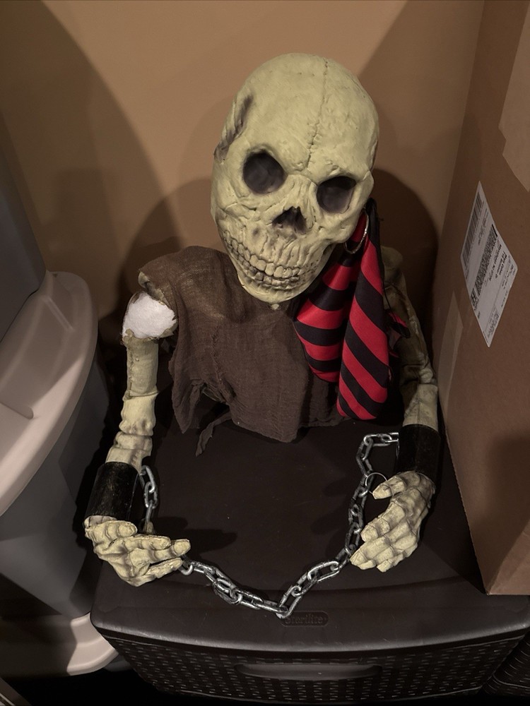 Halloween pirate skull in chains