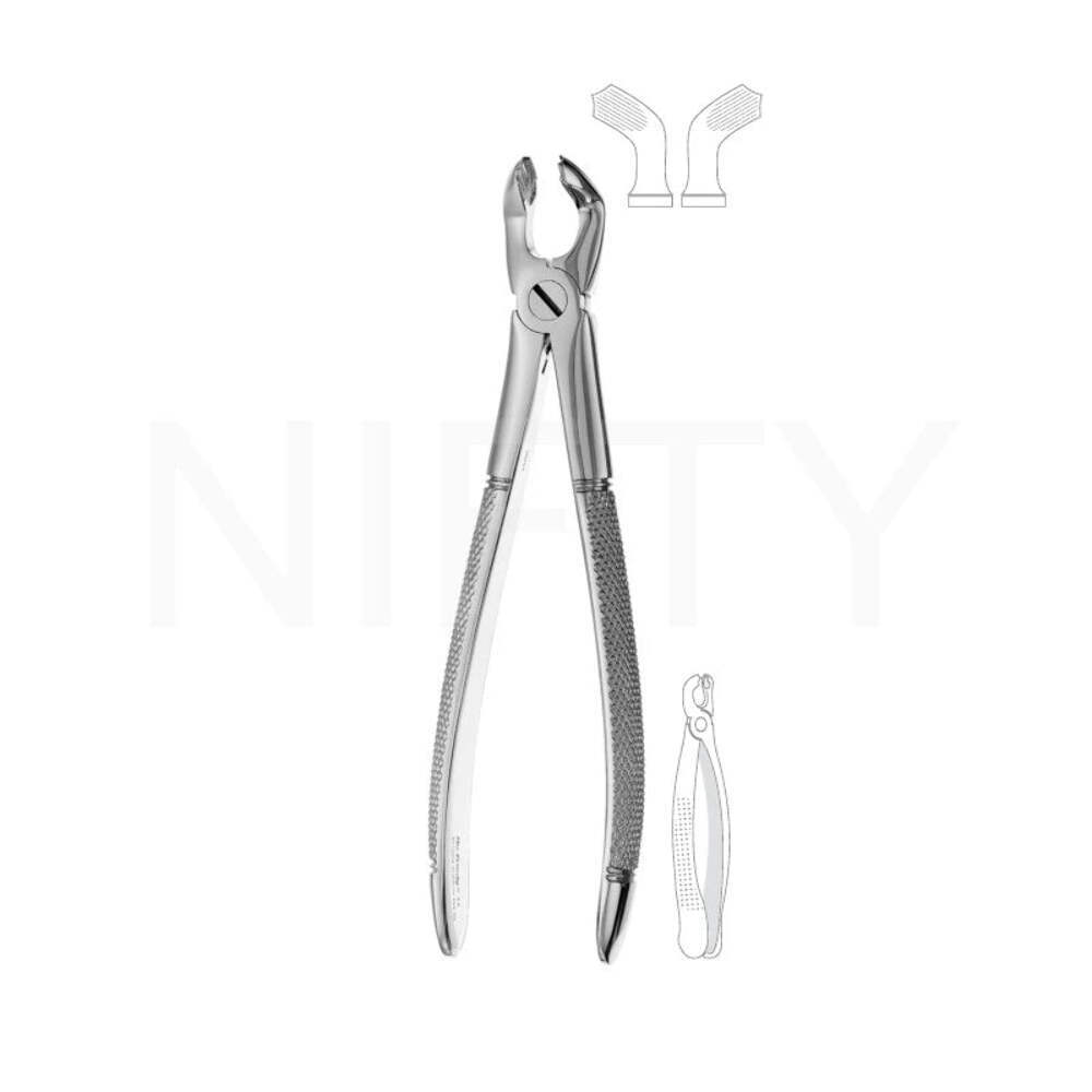 Extracting Forcep English Pattern Roots & Molar #79