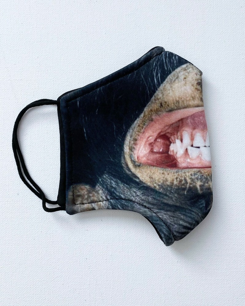 Funny Animal Reusable Face Mask - Monkey Face Mask, Washable