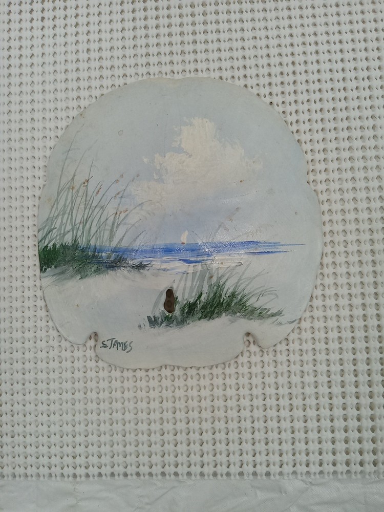 Large Painted Sanddollar