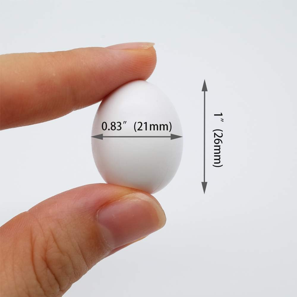 8 Pcs Solid Parrot Plastic Eggs Hatching Eggs Green Cheek, Lorikeet&Ringneck Dov