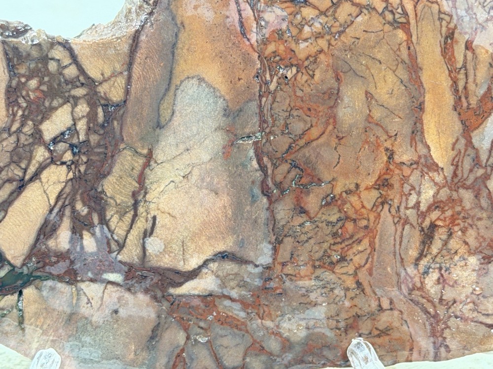 Dead Camel Jasper Slab, Lot #154