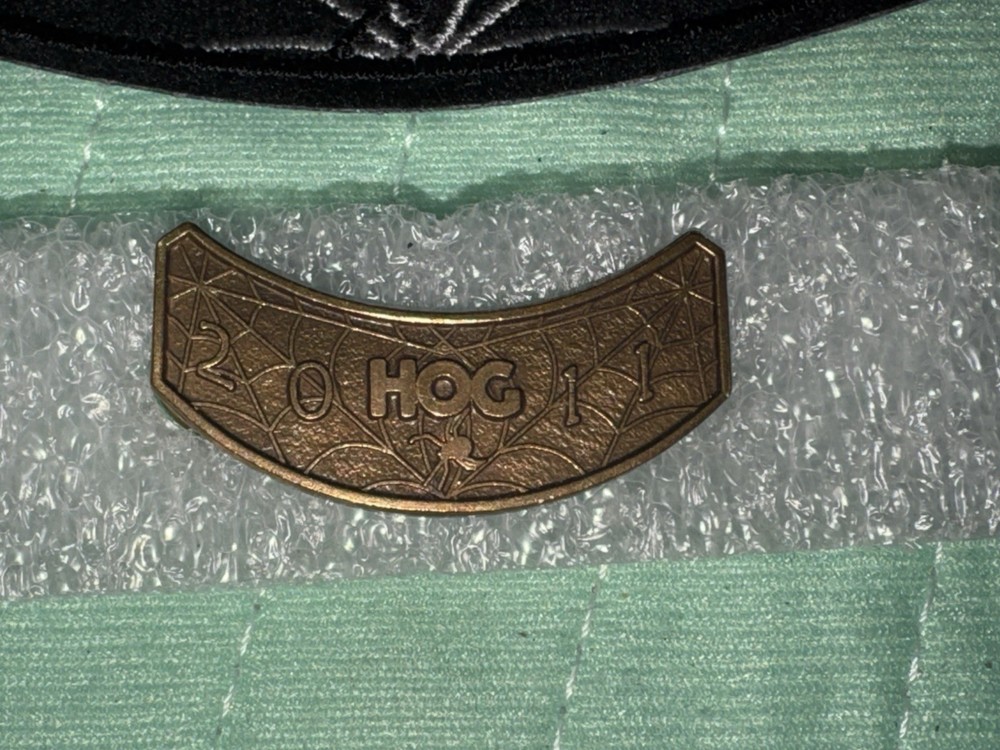 New 2011 SPIDER WITH WEB Harley Davidson HOG PATCH