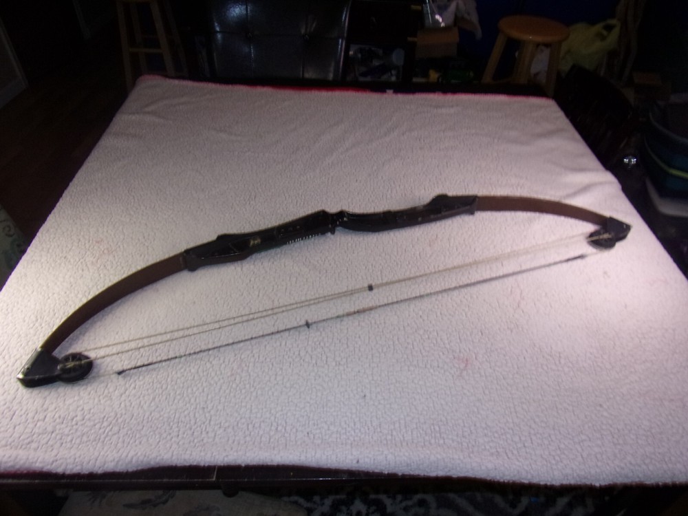 Bear Blacktail Hunter Compound