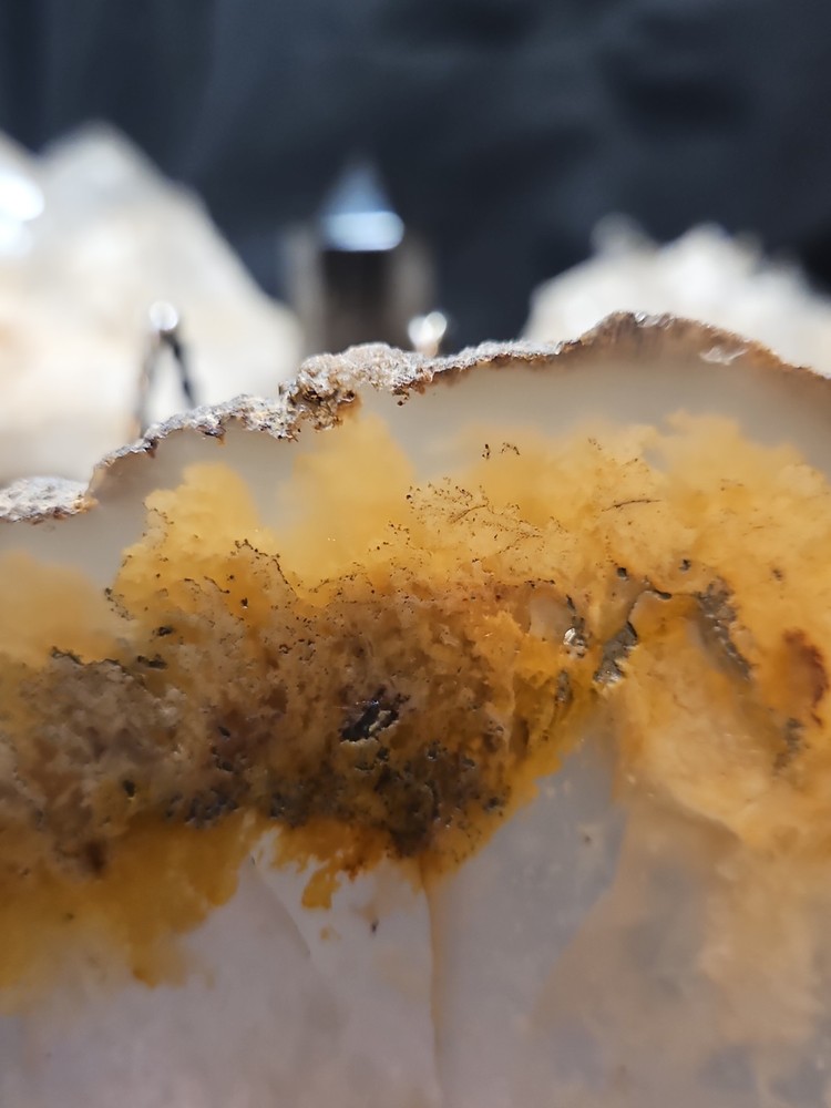 Graveyard Plume Agate Slab Specimen (11oz)