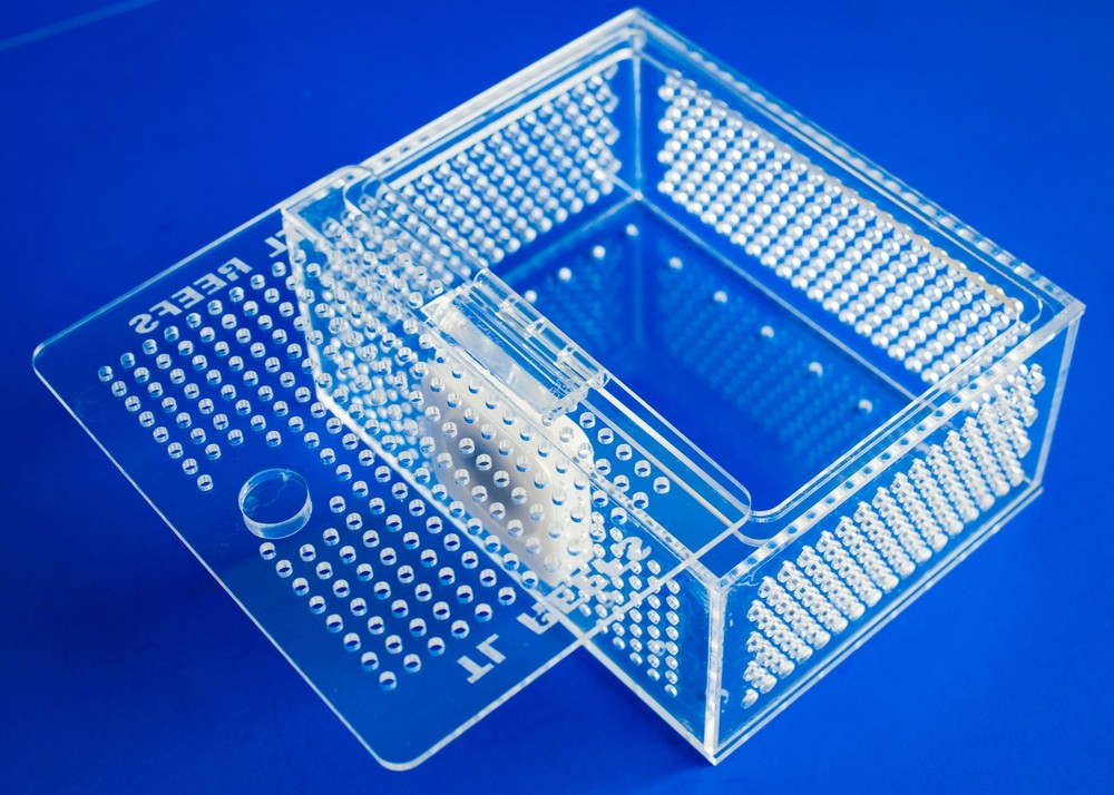 TL Reefs Mushroom Coral Acclimation Box