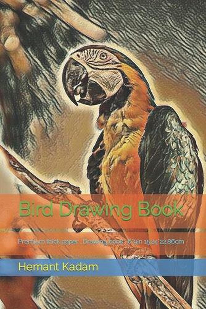 Bird Drawing Book