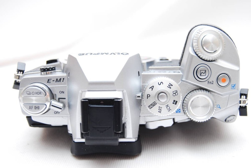 OLYMPUS OM-D E-M1 Mirrorless Camera Body Silver Set Working