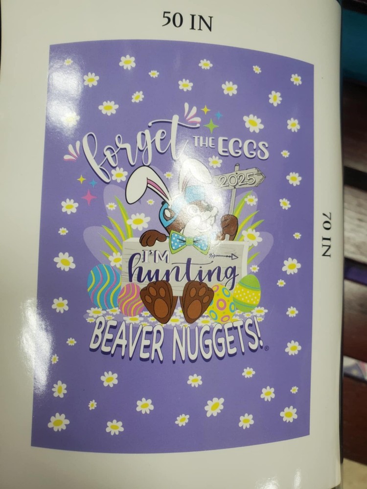 BUCEES EASTER BLANKET “ I'm Hunting Beaver Nuggets! ” Buc-ee’s 2025 🐰🟣 New