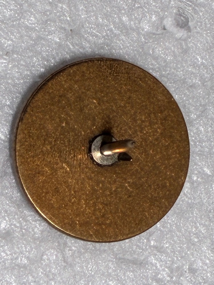 Round Destert Shield Desert Storn lapel pin