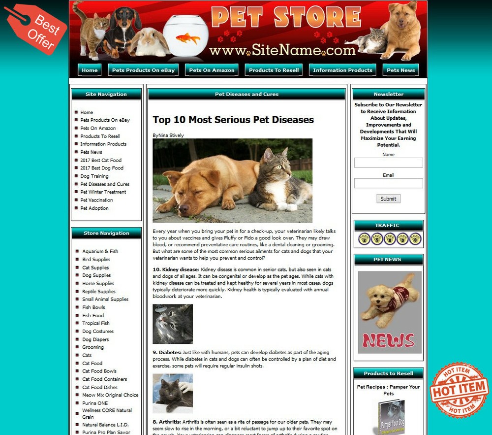 PET SUPPLY STORE Affiliate Website+Amazon+Google+Dropship
