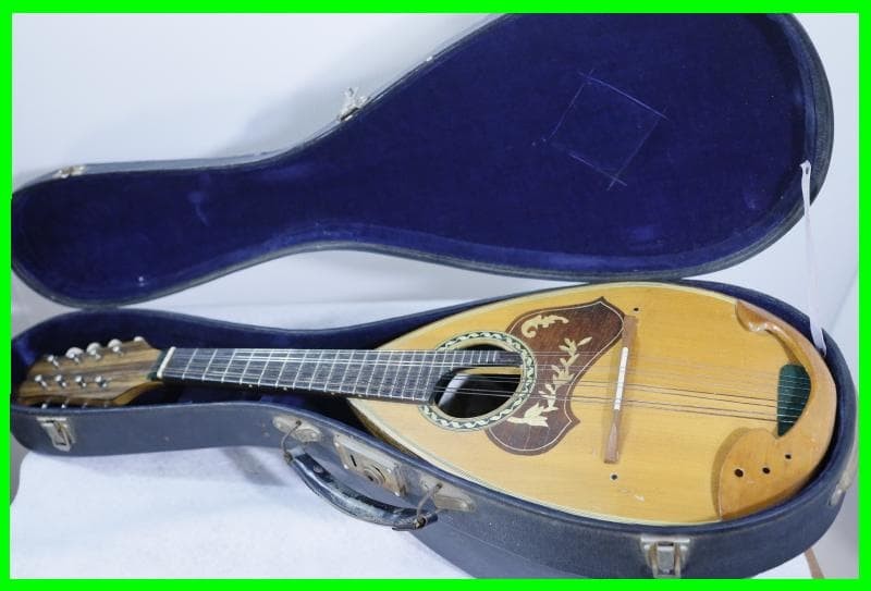◆Kunishima Mandolin No.106 ◆With hard case