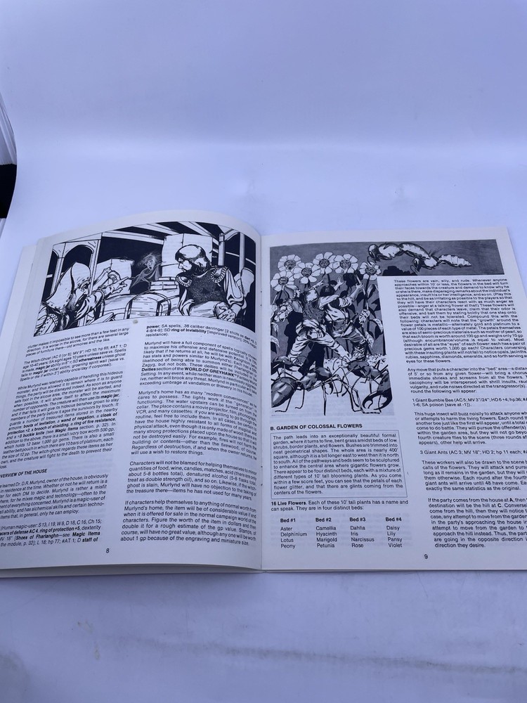 EX2 AD&D Module The Land Beyond the Magic Mirror Dungeons & Dragons TSR (1983)