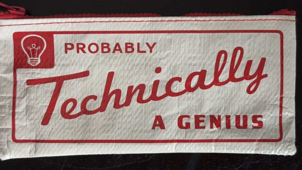 Probably Technically A Genius Pencil Case Blue Q 8.5" L X 4" W