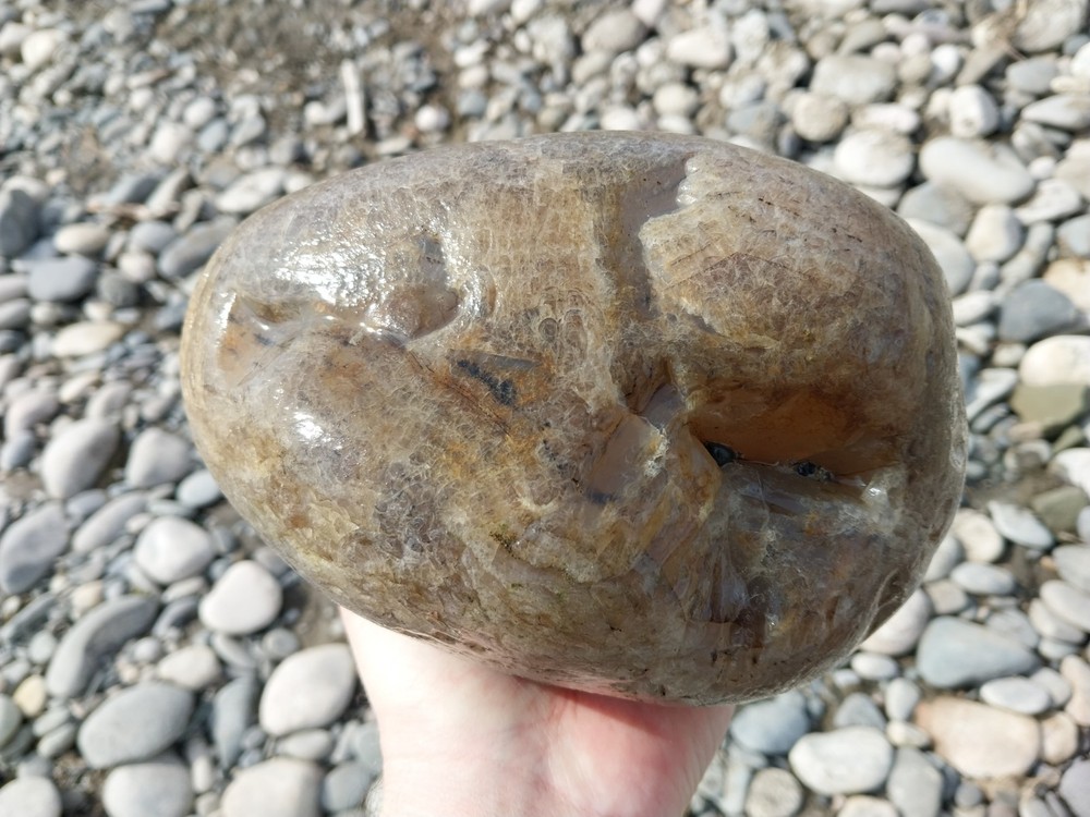 Montana Agate 12.6 lbs