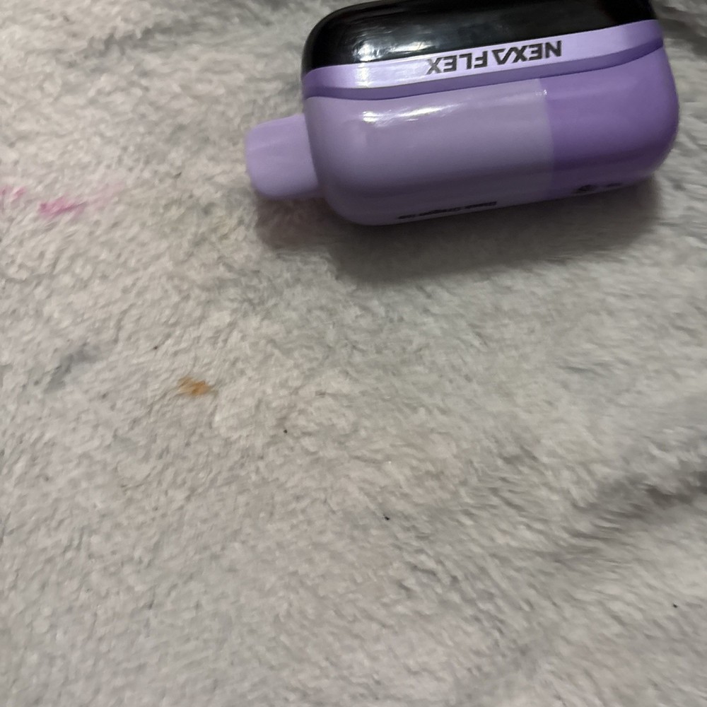 Clip Studio Paint Pro V. 1