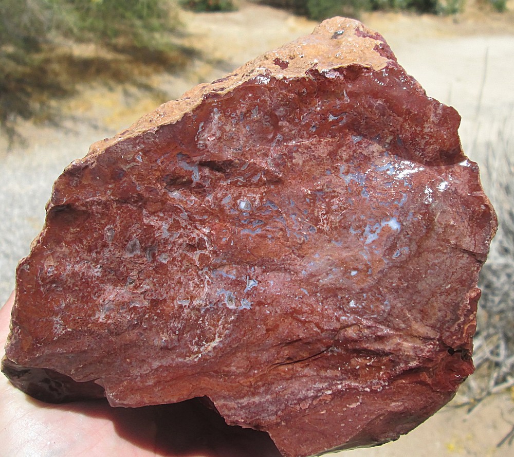 UNKNOWN JASPER AGATE ROUGH ~ 8 lbs. 0 ozs. CADY MOUNTAINS MAYBE?