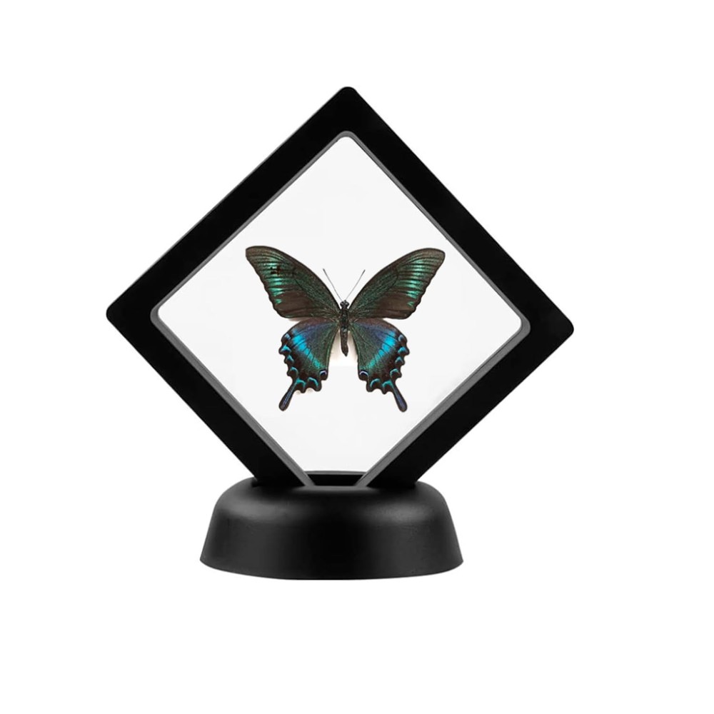 4 Pcs 3D Floating Display Case Challenge Coin Display Frame Stand Holder