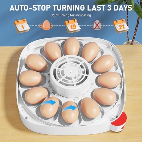 12 Egg Incubators for Hatching Eggs, Egg Incubator with Automatic Egg