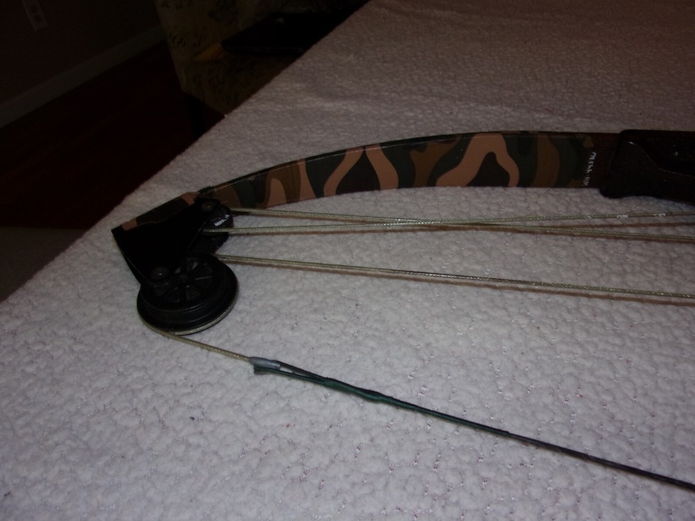 Vintage Bear Whitetail Hunter Compound Bow