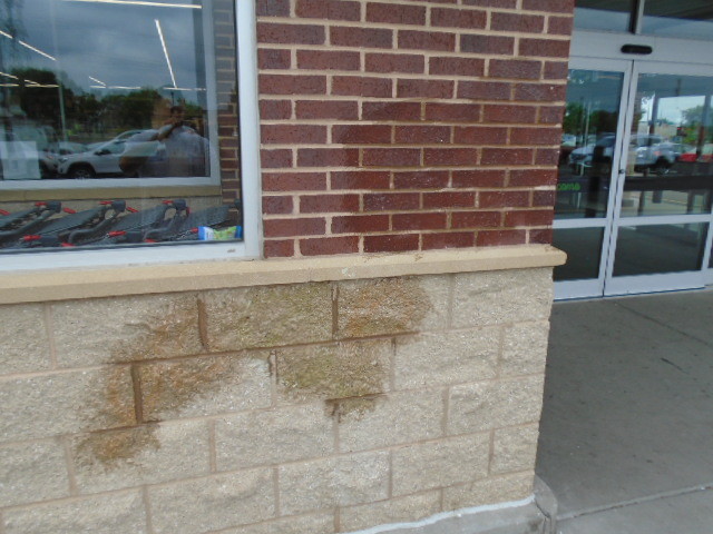 GRAFFITI REMOVER SHADOW MAX 1 QUART BY GRAFFITI SOLUTIONS