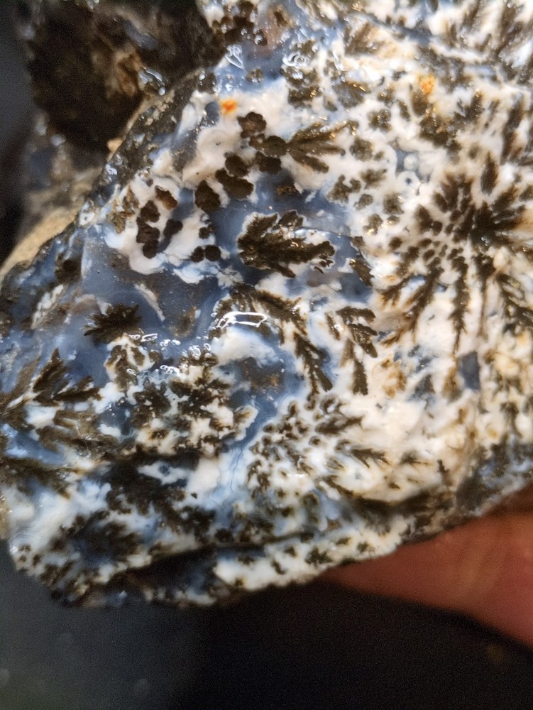 Black & White Dendric Specimen Natural Form (1lb 9oz)