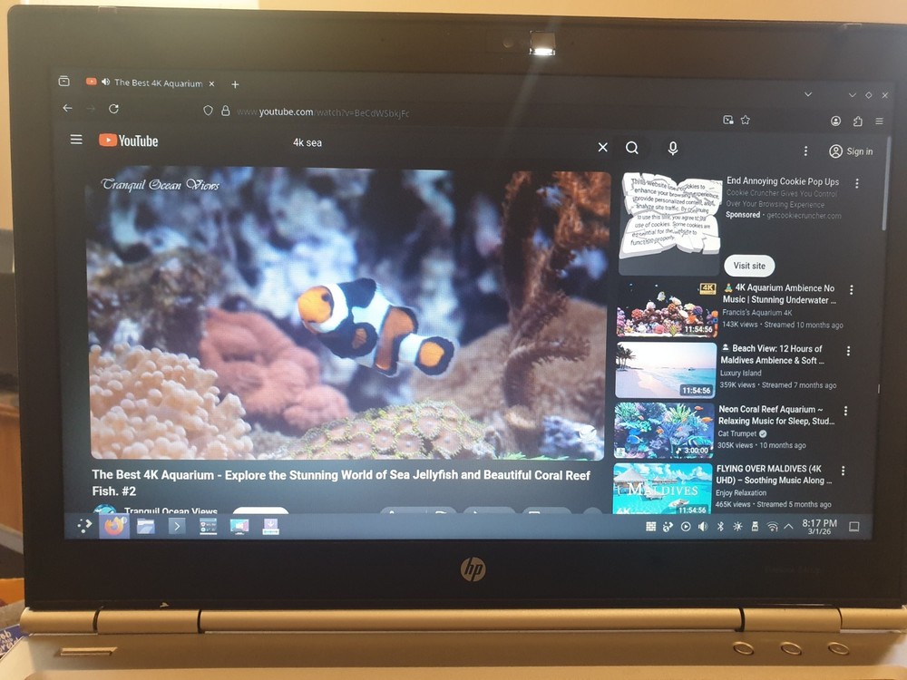 Linux Endeavour OS V2026.01.12 64bit, Bootable Live and Install USB Flash Drive