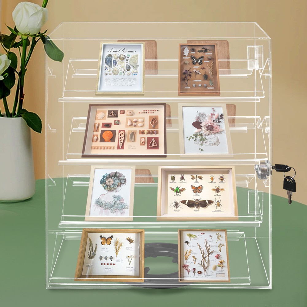 Acrylic Eyewear Showcase, Acrylic Display Case, Clear Acrylic Display Case