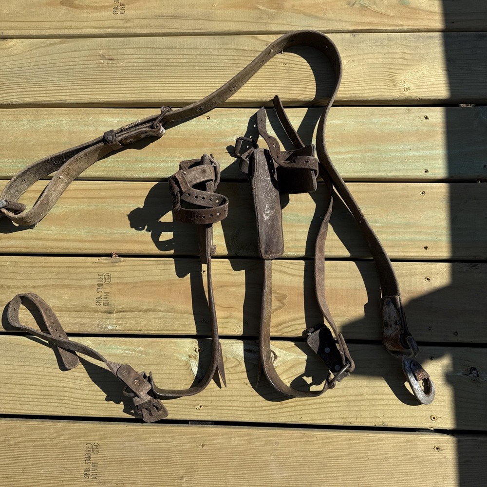 Vintage Pair BUCKINGHAM Climbing Spikes/ Lineman Pole-Tree