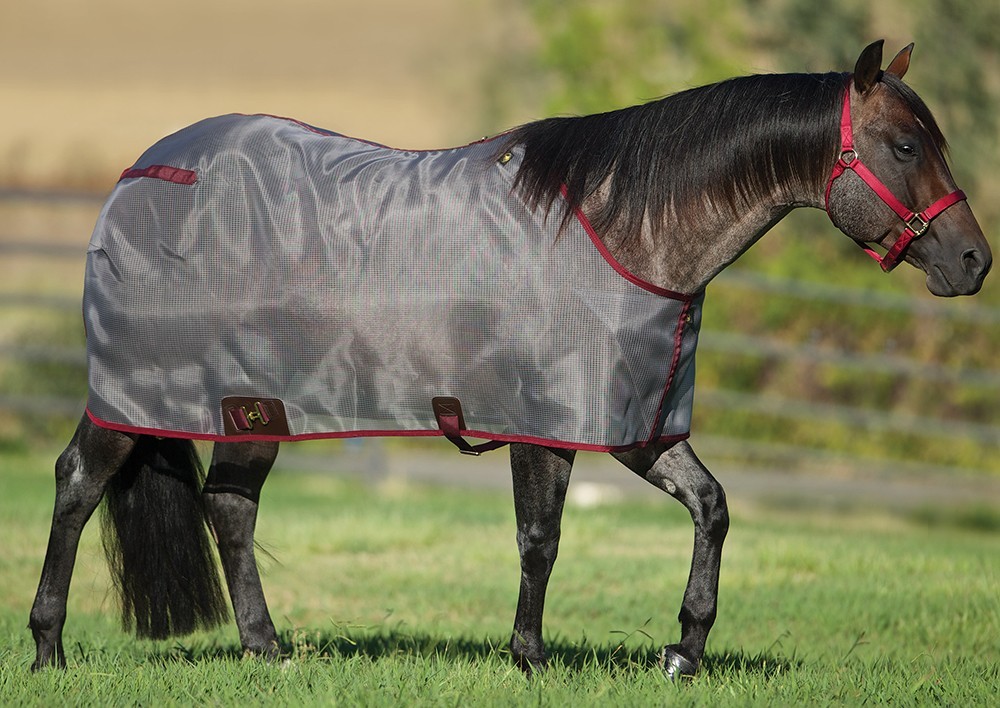 Big D horse fly sheet Size 76