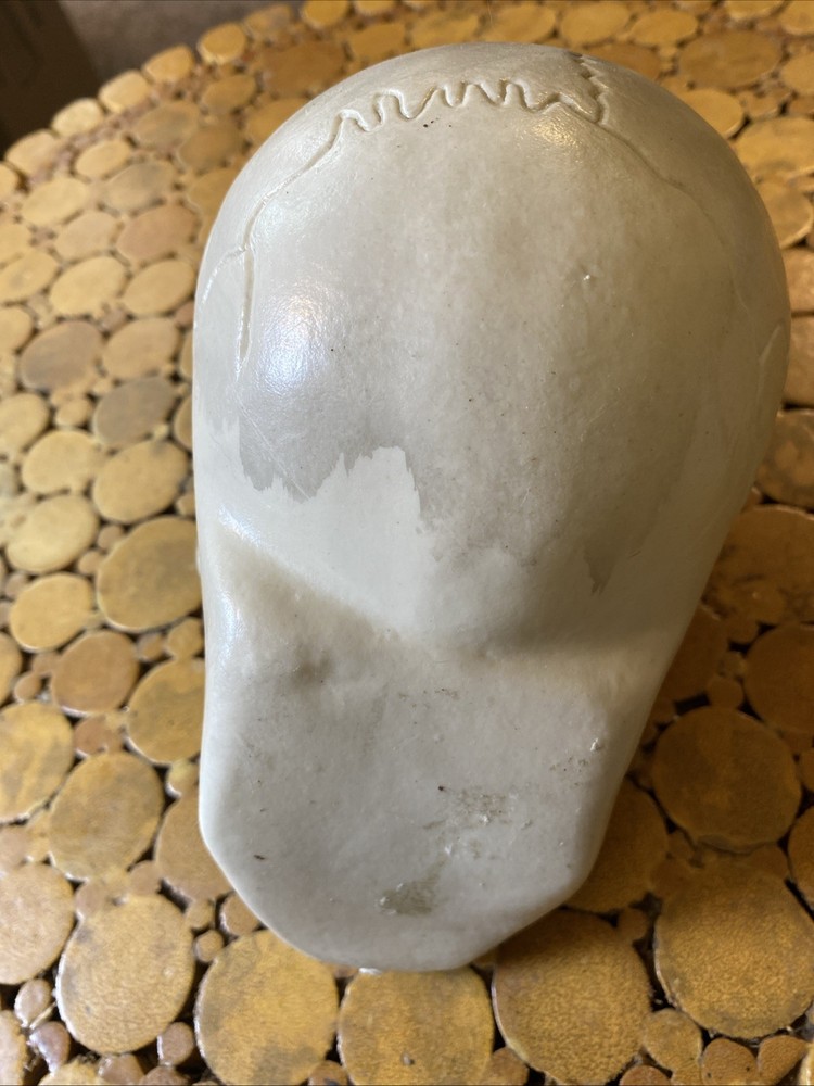 Halloween Skeleton Skull - Prop - Decor