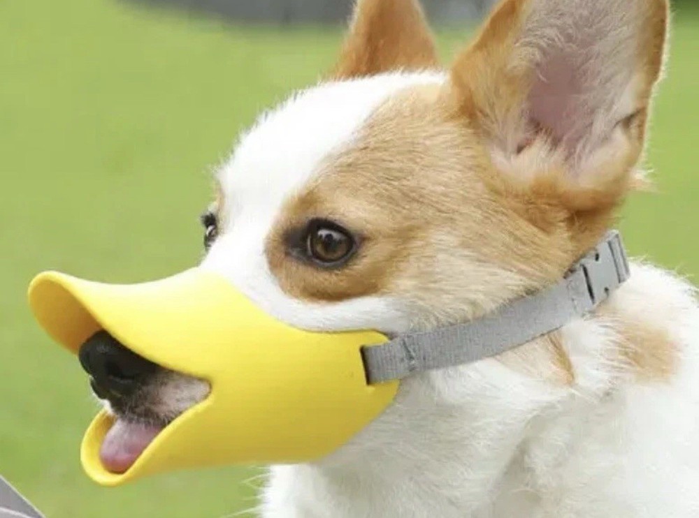 Pet Duck Bill Shaped Adjustable Dog Muzzle Anti-Bite