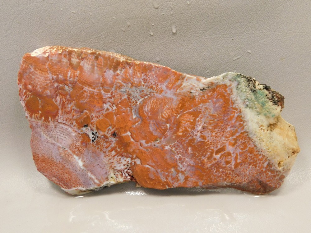 Red Agate Pseudomorph Stone Slab Lapidary Rough Rock #O1