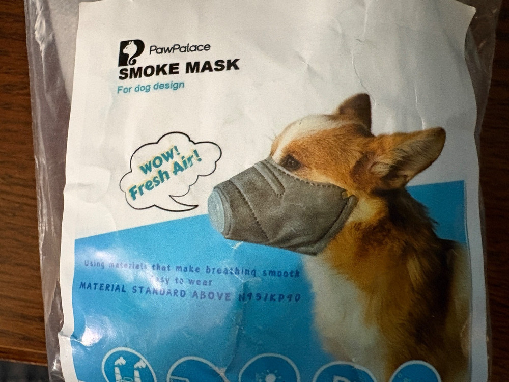 PawPalace, Smoke Mask For Dog, 3 Pack, Medium