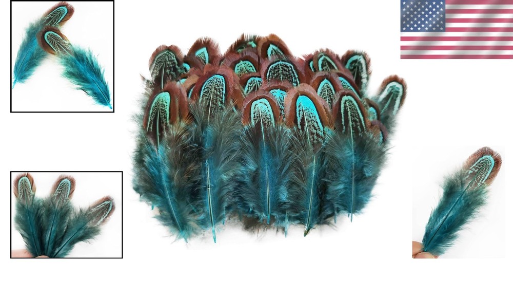 Natural Blue Pheasant Plumage Feathers 200pcs
