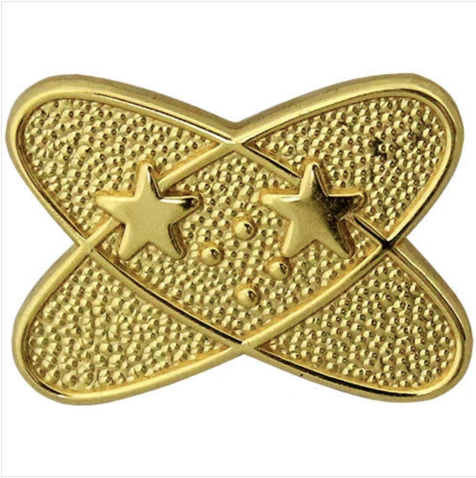 GENUINE U.S. NAVY COLLAR DEVICE: ELECTRONIC TECHNICIAN - GOLD