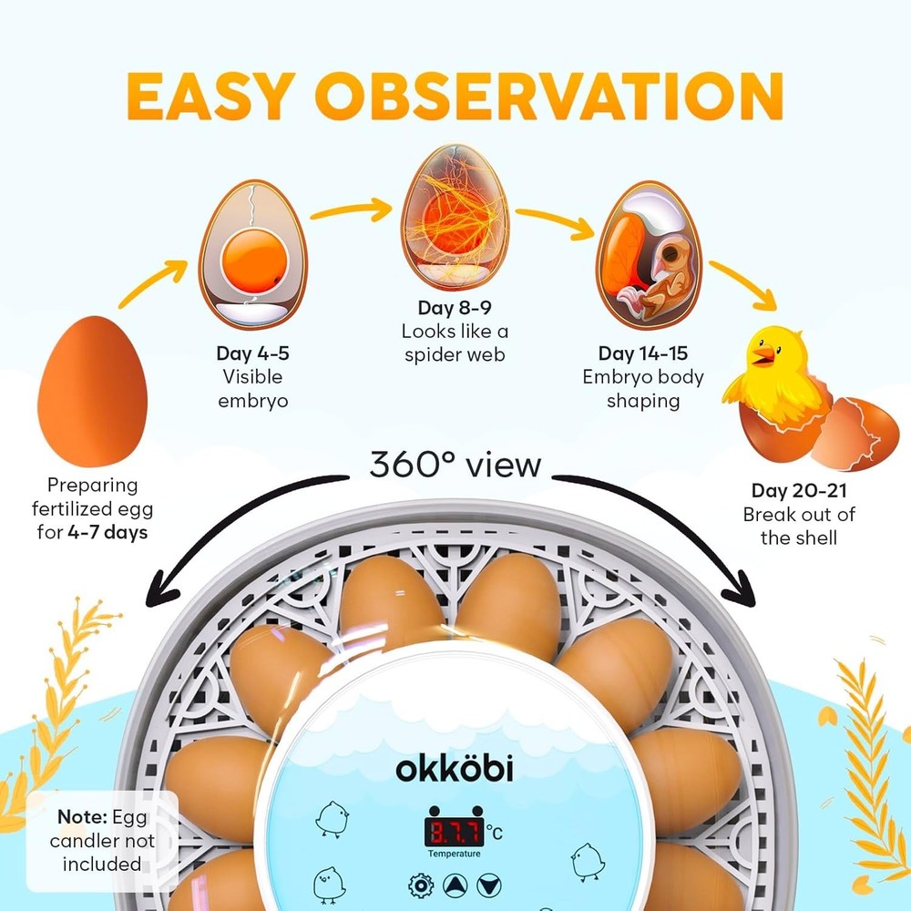 Egg Incubator with Automatic Egg Turning and Humidity Control - 12 Eggs
