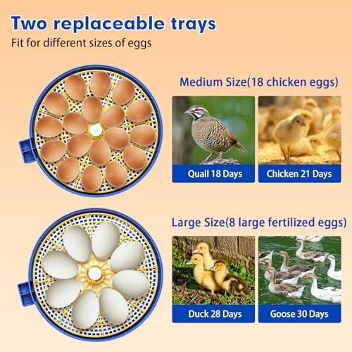 Automatic 18 Egg Incubator with Turner, Temp & Humidity Control for Hatching Egg