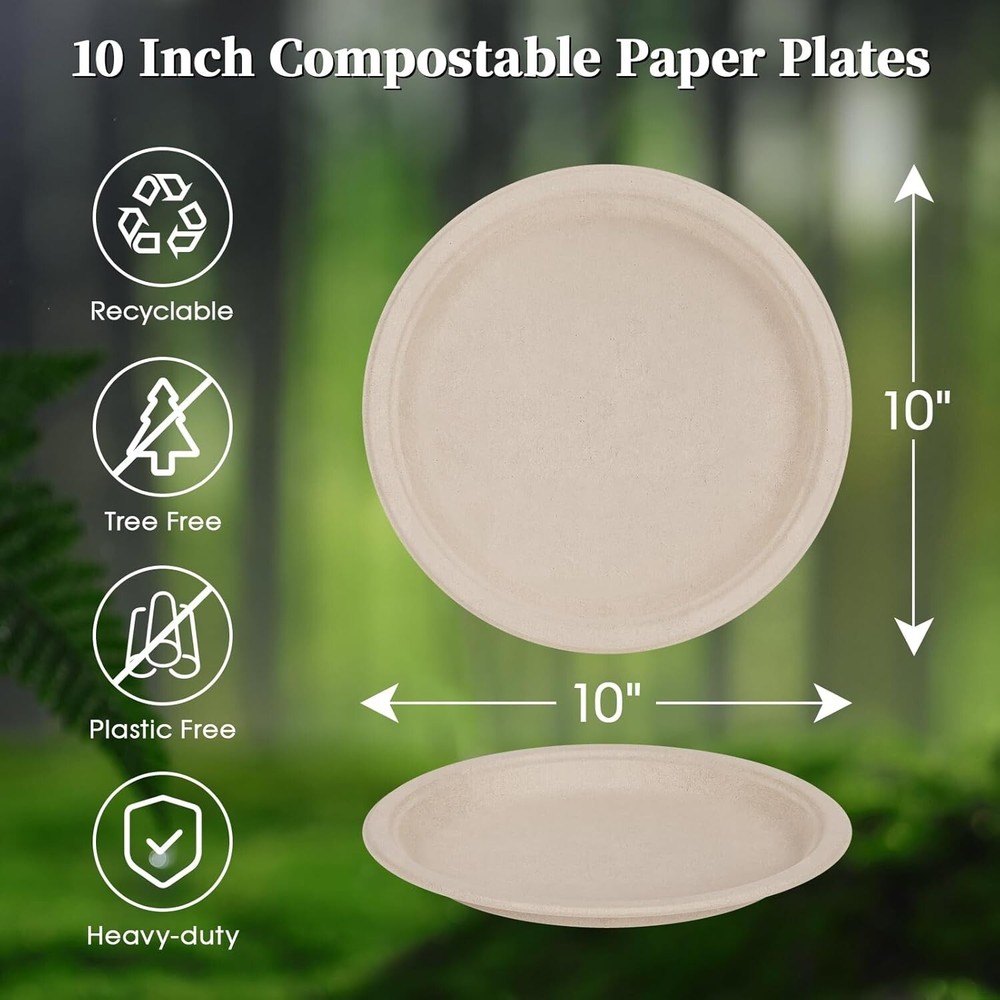 Sugarcane Bagasse 10 Inc Round  plate Compostable 120ct