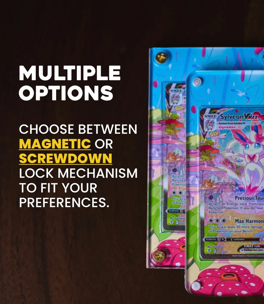 Zekrom ex SAR | Extended Art Display Case for Pokemon Card