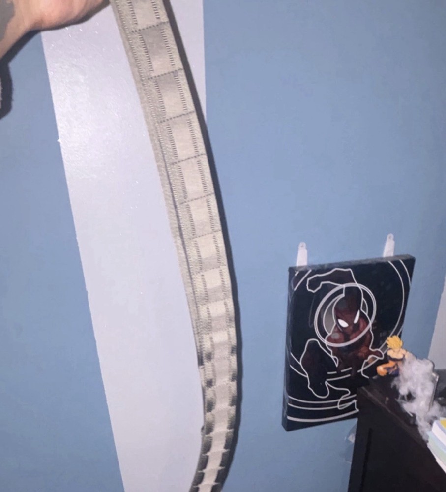Maverick Battle Belt