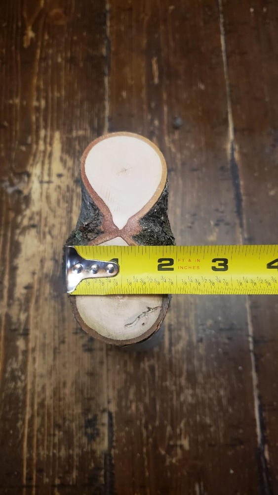MAPLE Turning Crotch Log 10" Long M4319