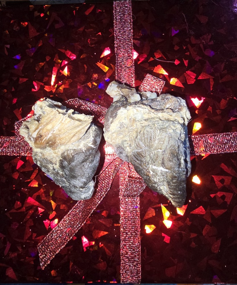 2 FORMULIN FIXED DRIED GOAT HEARTS - DARK ACRES